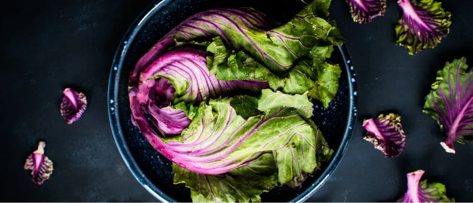 Brand photography from the about page: a purple flowering cabbage in a dark bowl on a black table.